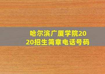 哈尔滨广厦学院2020招生简章电话号码