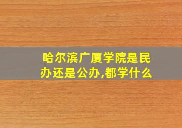 哈尔滨广厦学院是民办还是公办,都学什么