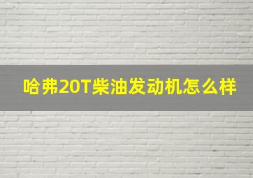 哈弗20T柴油发动机怎么样