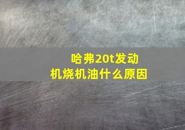 哈弗20t发动机烧机油什么原因