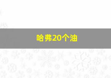 哈弗20个油