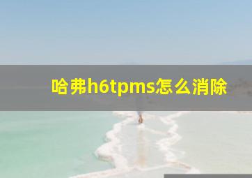 哈弗h6tpms怎么消除