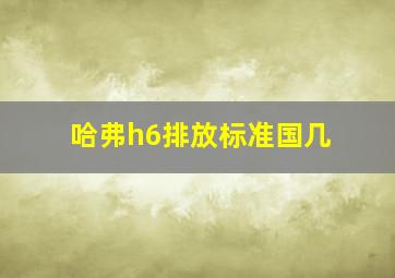 哈弗h6排放标准国几