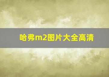 哈弗m2图片大全高清