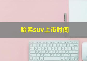 哈弗suv上市时间