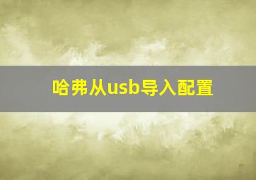 哈弗从usb导入配置