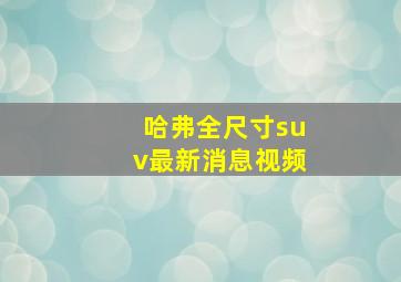 哈弗全尺寸suv最新消息视频