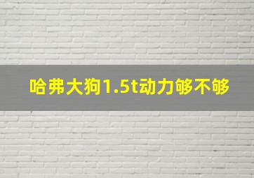 哈弗大狗1.5t动力够不够