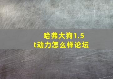 哈弗大狗1.5t动力怎么样论坛