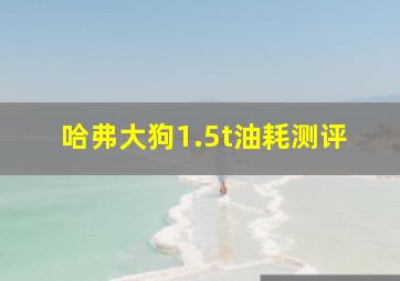 哈弗大狗1.5t油耗测评