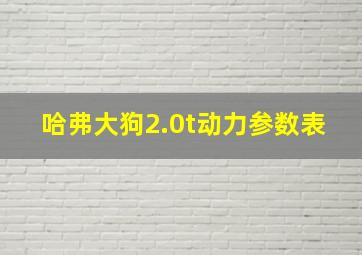 哈弗大狗2.0t动力参数表