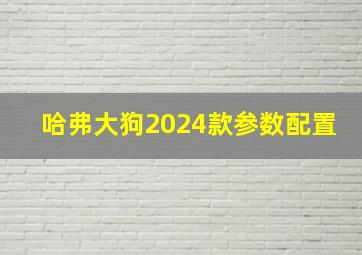 哈弗大狗2024款参数配置