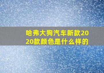 哈弗大狗汽车新款2020款颜色是什么样的