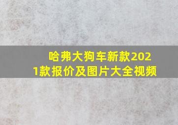 哈弗大狗车新款2021款报价及图片大全视频