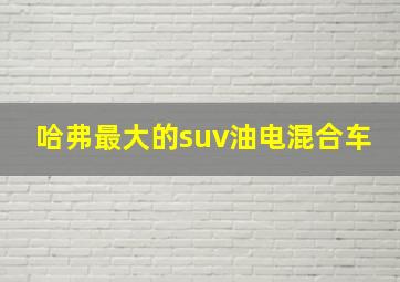 哈弗最大的suv油电混合车