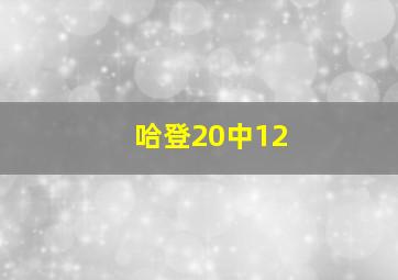 哈登20中12