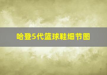 哈登5代篮球鞋细节图