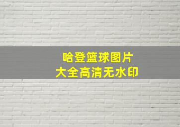 哈登篮球图片大全高清无水印