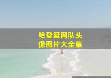 哈登篮网队头像图片大全集