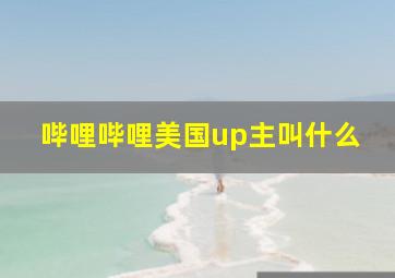 哔哩哔哩美国up主叫什么