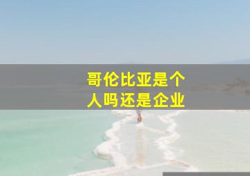 哥伦比亚是个人吗还是企业