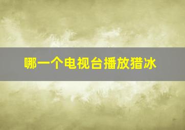 哪一个电视台播放猎冰