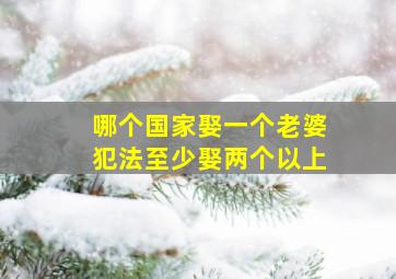 哪个国家娶一个老婆犯法至少娶两个以上