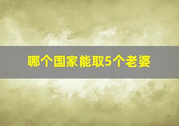 哪个国家能取5个老婆