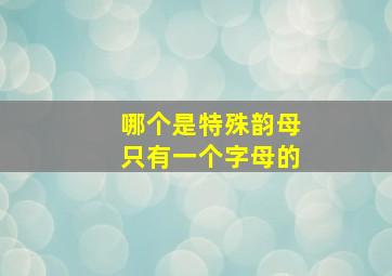 哪个是特殊韵母只有一个字母的