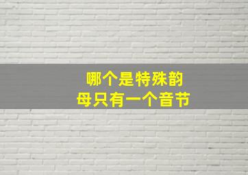 哪个是特殊韵母只有一个音节