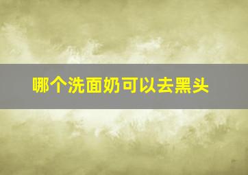 哪个洗面奶可以去黑头