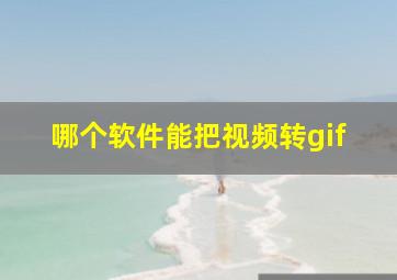 哪个软件能把视频转gif