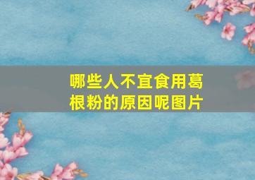 哪些人不宜食用葛根粉的原因呢图片