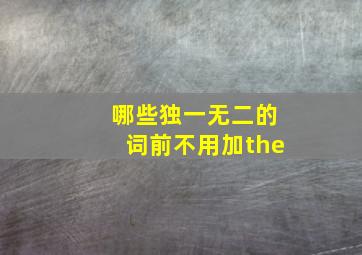 哪些独一无二的词前不用加the