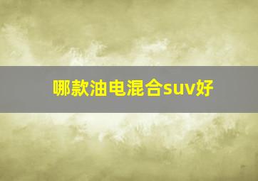 哪款油电混合suv好