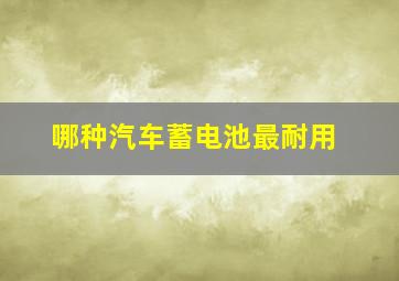 哪种汽车蓄电池最耐用