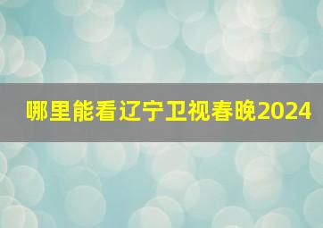 哪里能看辽宁卫视春晚2024