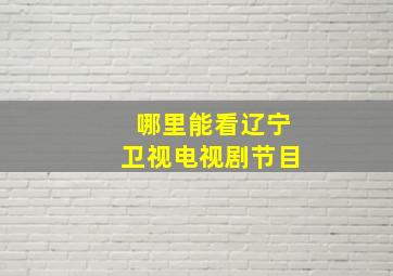 哪里能看辽宁卫视电视剧节目