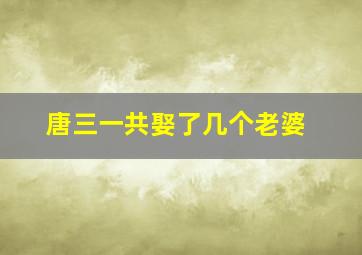 唐三一共娶了几个老婆