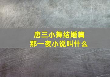 唐三小舞结婚篇那一夜小说叫什么