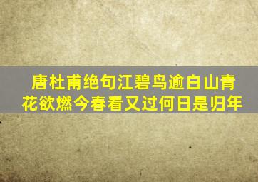 唐杜甫绝句江碧鸟逾白山青花欲燃今春看又过何日是归年