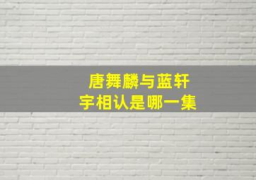 唐舞麟与蓝轩宇相认是哪一集