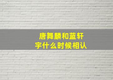 唐舞麟和蓝轩宇什么时候相认