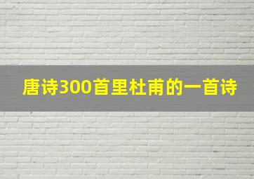 唐诗300首里杜甫的一首诗