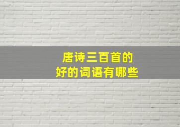 唐诗三百首的好的词语有哪些