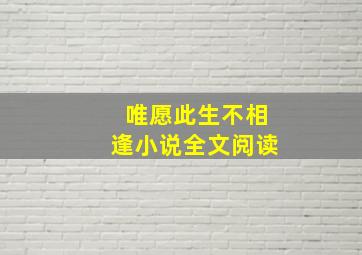 唯愿此生不相逢小说全文阅读