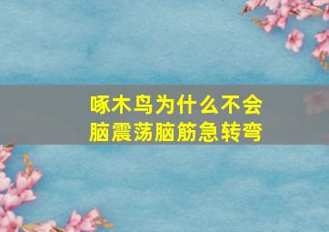 啄木鸟为什么不会脑震荡脑筋急转弯