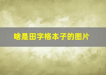 啥是田字格本子的图片