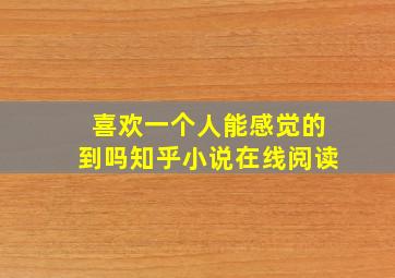 喜欢一个人能感觉的到吗知乎小说在线阅读