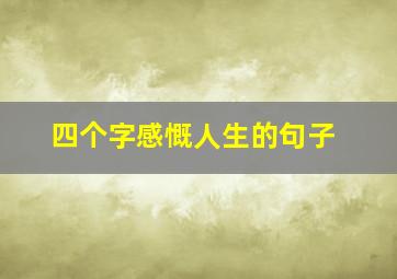 四个字感慨人生的句子